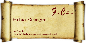 Fulea Csongor névjegykártya