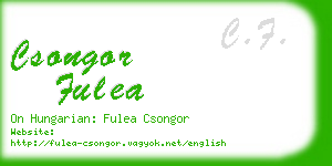 csongor fulea business card